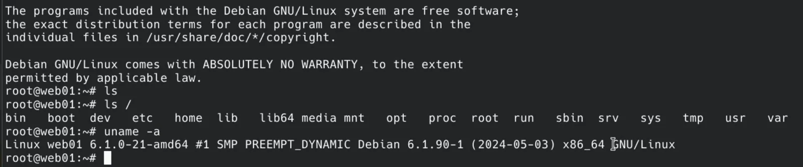 Ubuntu bir sunucudayım ama tuzak bana Debian olduğunu söylüyor.
