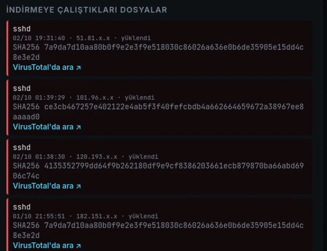 Yüklenen dosyalar ve SHA256 özetleri.